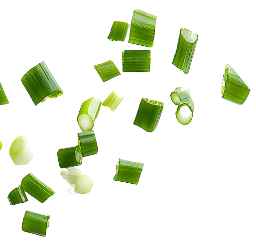 section02 left scallion v2