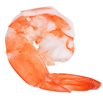 section02 shrimp